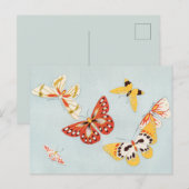  Briefkaart van vlinder (Voorkant / Achterkant)