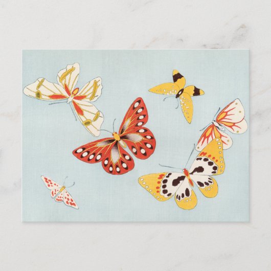  Briefkaart van vlinder (Voorkant)