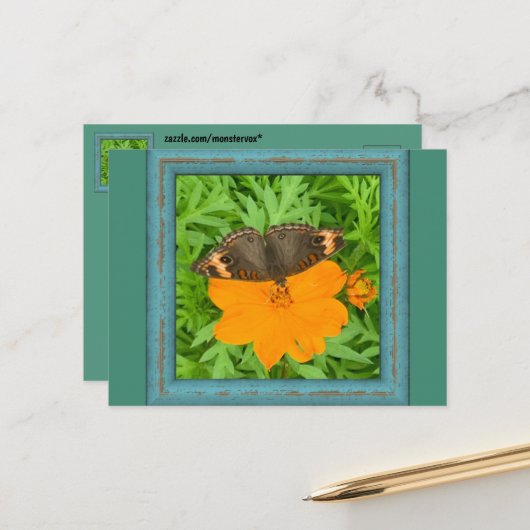 Briefkaart van vlinder (Voorkant / Achterkant in situ)