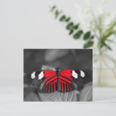 Briefkaart van vlinder (Staand voorkant)