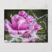 Briefkaart van vlinder (Voorkant)