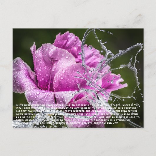 Briefkaart van vlinder (Voorkant)