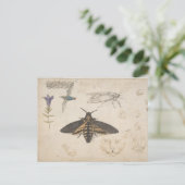  Briefkaart van vlinder (Staand voorkant)