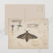  Briefkaart van vlinder (Voorkant / Achterkant)