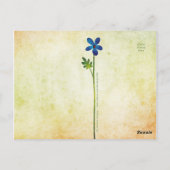 Briefkaart van vlinder (Achterkant)