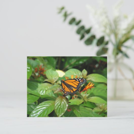 Briefkaart van vlinder (Staand voorkant)