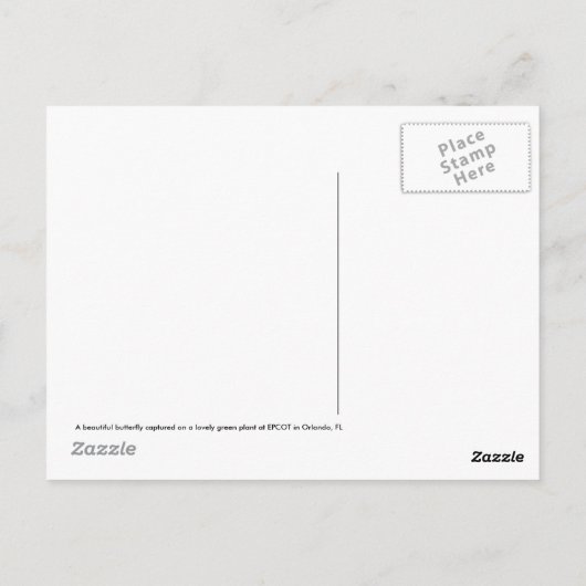 Briefkaart van vlinder (Achterkant)