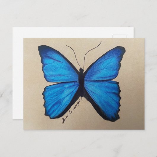 Briefkaart van vlinder (Voorkant / Achterkant)