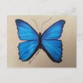 Briefkaart van vlinder (Voorkant)