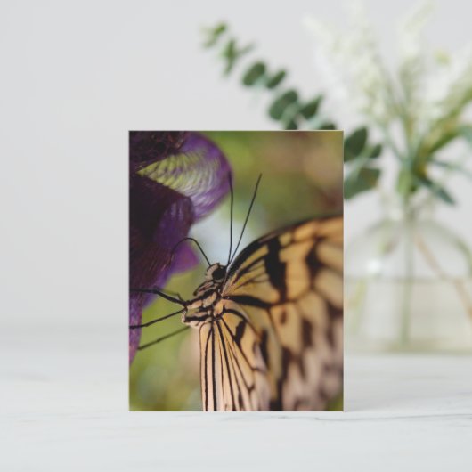 Briefkaart van vlinder (Staand voorkant)