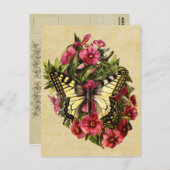  Briefkaart van vlinder (Voorkant / Achterkant)