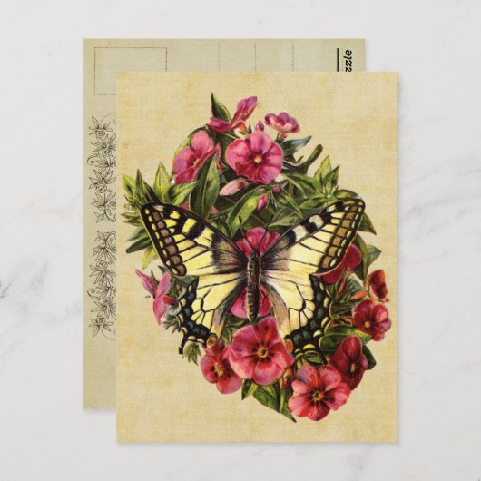  Briefkaart van vlinder (Voorkant / Achterkant)