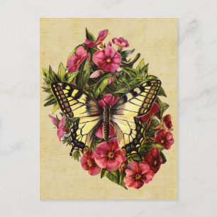 Briefkaart van vlinder