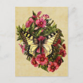  Briefkaart van vlinder (Voorkant)