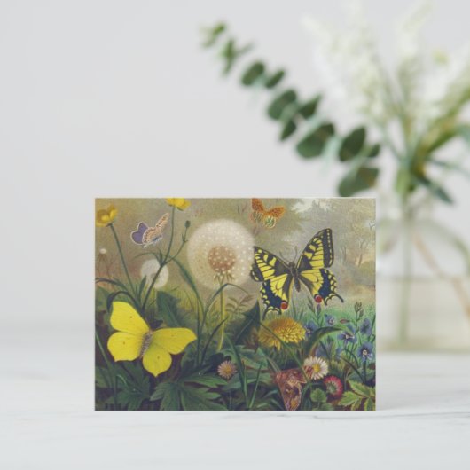 Briefkaart van vlinder (Staand voorkant)