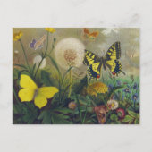  Briefkaart van vlinder (Voorkant)