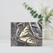 Briefkaart van vlinder (Staand voorkant)