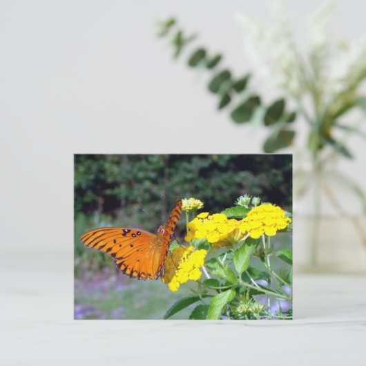 Briefkaart van vlinder (Staand voorkant)