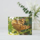 Briefkaart van vlinder (Staand voorkant)