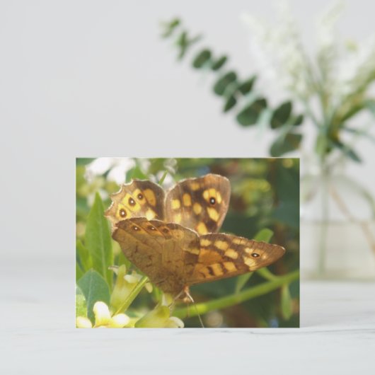 Briefkaart van vlinder (Staand voorkant)