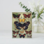 Briefkaart van vlinder (Staand voorkant)