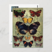 Briefkaart van vlinder (Voorkant / Achterkant)