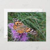Briefkaart van vlinder (Voorkant / Achterkant)