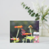 Briefkaart van vlinder (Staand voorkant)