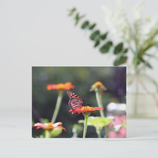 Briefkaart van vlinder (Staand voorkant)