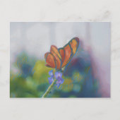 Briefkaart van vlindervleugels (Voorkant)