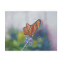 Briefkaart van vlindervleugels
