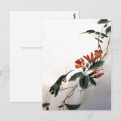 Briefkaart van vogels (Voorkant / Achterkant)