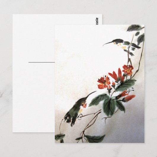 Briefkaart van vogels (Voorkant / Achterkant)