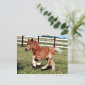 Briefkaart van vrijheid (Staand voorkant)