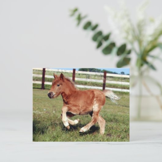 Briefkaart van vrijheid (Staand voorkant)