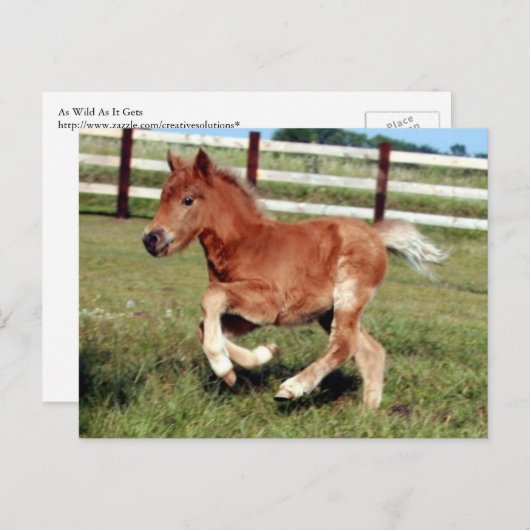 Briefkaart van vrijheid (Voorkant / Achterkant)