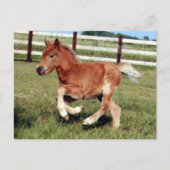 Briefkaart van vrijheid (Voorkant)