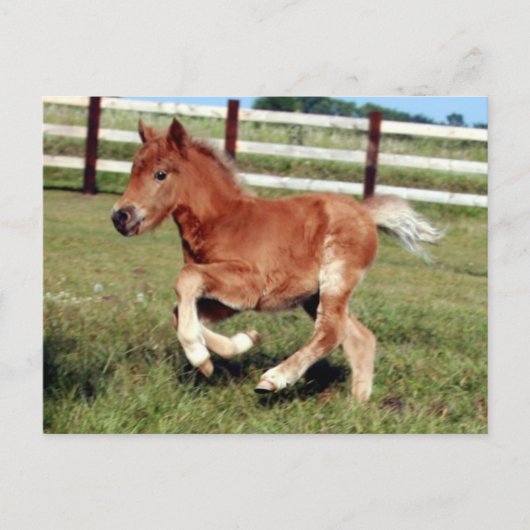 Briefkaart van vrijheid (Voorkant)