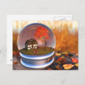 Briefkaart van Wereldbol van aple Leaf (Voorkant / Achterkant)