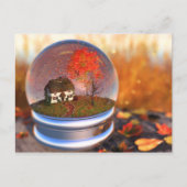 Briefkaart van Wereldbol van aple Leaf (Voorkant)