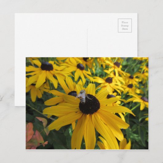 Briefkaart van werkbijen (Voorkant / Achterkant)