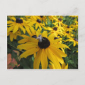 Briefkaart van werkbijen (Voorkant)