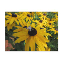 Briefkaart van werkbijen