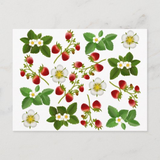 Briefkaart van wilde aardbeien (Voorkant)