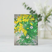 Briefkaart van wilde bloemen (Staand voorkant)