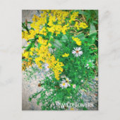Briefkaart van wilde bloemen (Voorkant)
