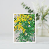 Briefkaart van wilde bloemen (Staand voorkant)