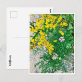 Briefkaart van wilde bloemen (Voorkant / Achterkant)