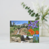 Briefkaart van wilde dieren van Colorado (Staand voorkant)