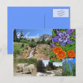 Briefkaart van wilde dieren van Colorado (Voorkant / Achterkant)